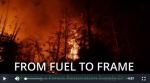 Thumbnail of screenshot from the video From fuel to frame: advancing a forest restoration supply chain