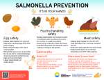 Thumbnail of the document Salmonella prevention